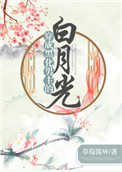 seegasm在哪个网站更新