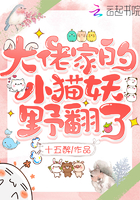 japonensisjava水多多破解版