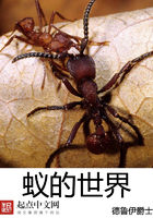 欲淫模特