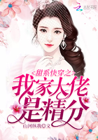 双腿打开被自己买的机器人