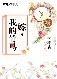 来自未来的史密特