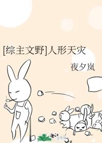 v des中国老太