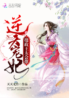 你再看我无声popo