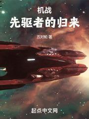 女士的法则电视剧免费观看