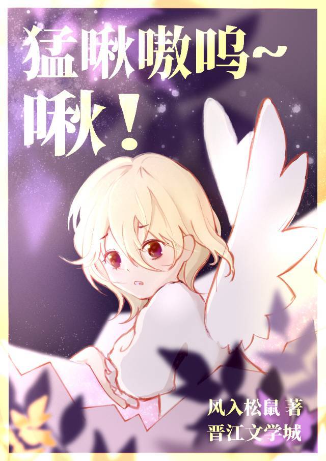 炮网