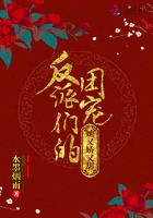 求网址你懂你的2024