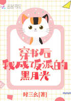 塞尔达王国之泪