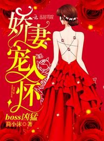 大夏王侯主角几个女人