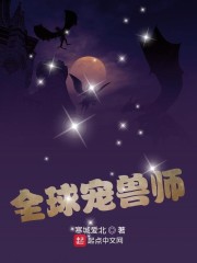 一路向西小说