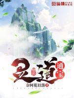 森沢加奈