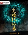 美丽的他一共多少集
