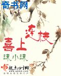 真爱背后演员表