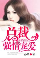 当书网手机版免费小说