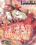 房客h