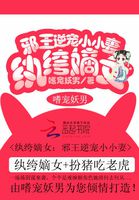 fmvp皮肤