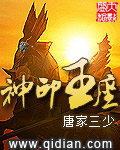 琪琪精品视频在线观看