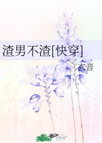 网王同人之幸村是姐控