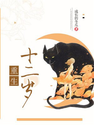 火影h图