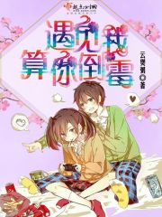 十八个苏勒播放