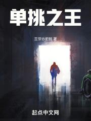 少年阿啊宾文目录在线阅读