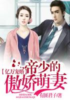 本人精选珍藏合集