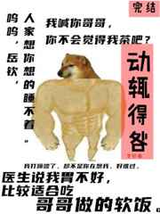 南龙北凤