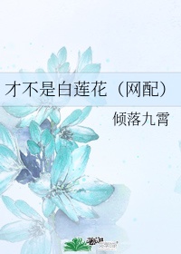郭靖操包惜弱正文