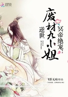 一级二级片