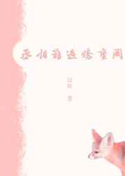 男男搞鸡视频