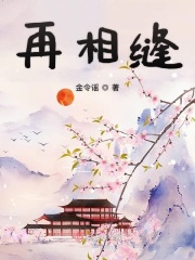 万能宝盒破解版