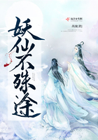叶子电视剧全集免费观看