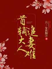 乘风破浪在线观看