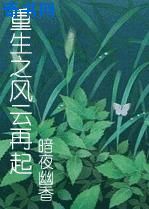 白丝在线