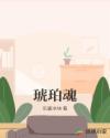 心光BY初可