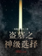 文豪野犬第一季全集免费观看