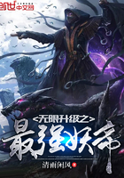 腹黑将军俏公主