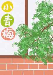 慕司寒南栀小说大结局