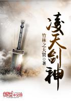 极速前进第一季