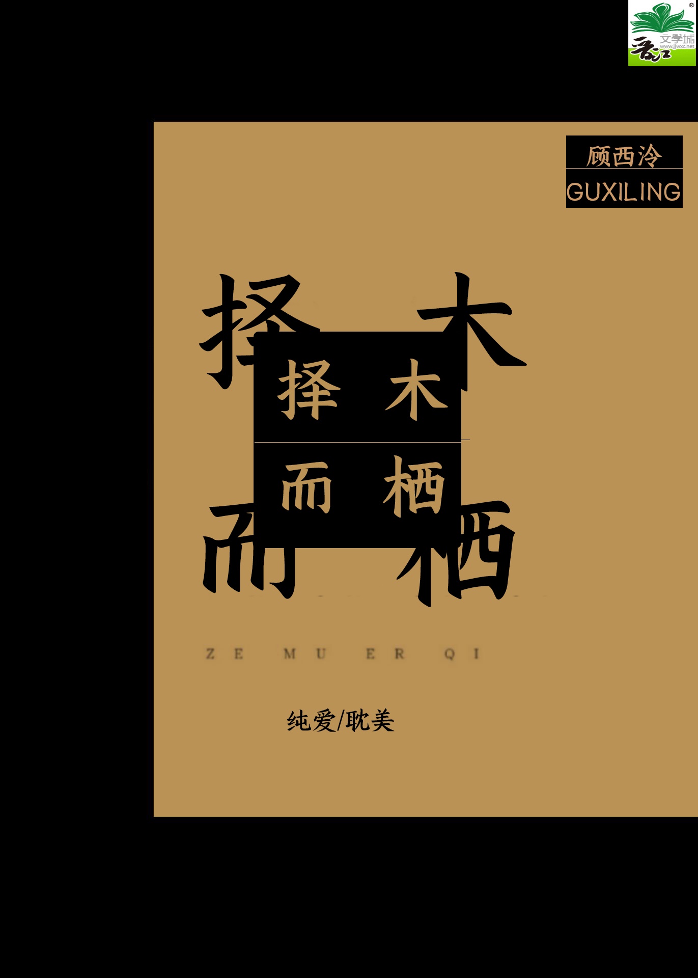 穿成女主她情人快穿gl