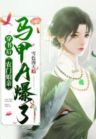 拔插拔插网站