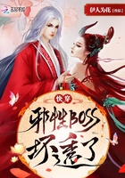 战士盾牌反射宏