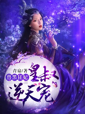 啊宾正传