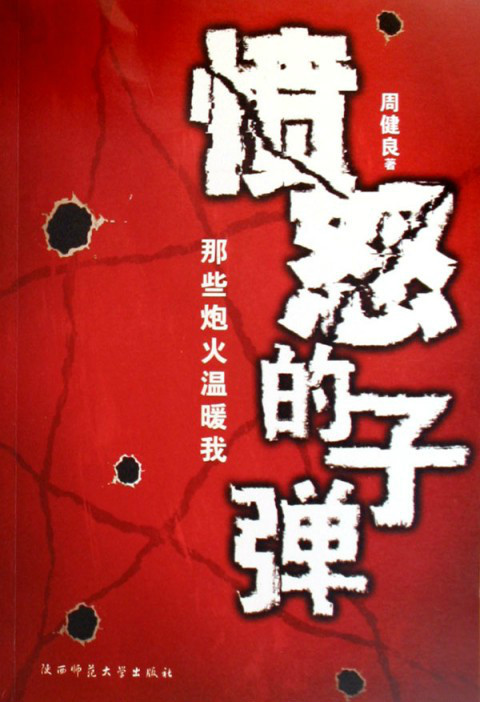 朱砂痣小说