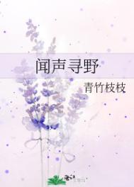 神医扁鹊电影