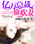 南安太妃传