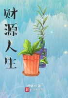 芒果视频回家导航