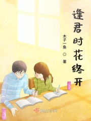 真精华布衣图库