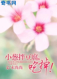 圣斗士星矢免费观看国语版全集