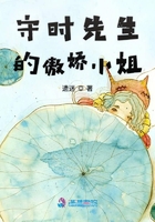 妻子的秘密小说