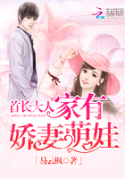 文轩探花
